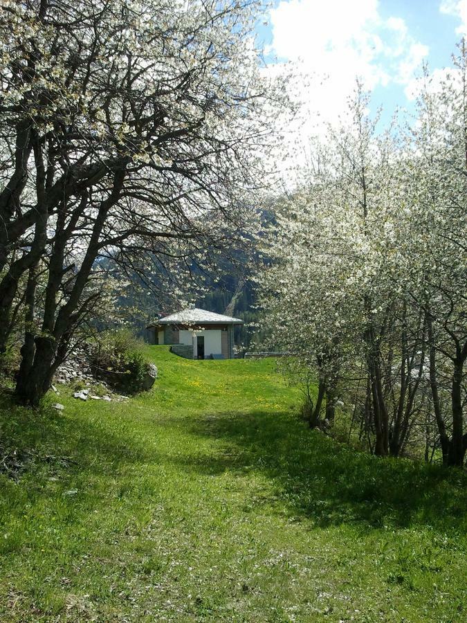 La Niche B&B La Thuile Buitenkant foto